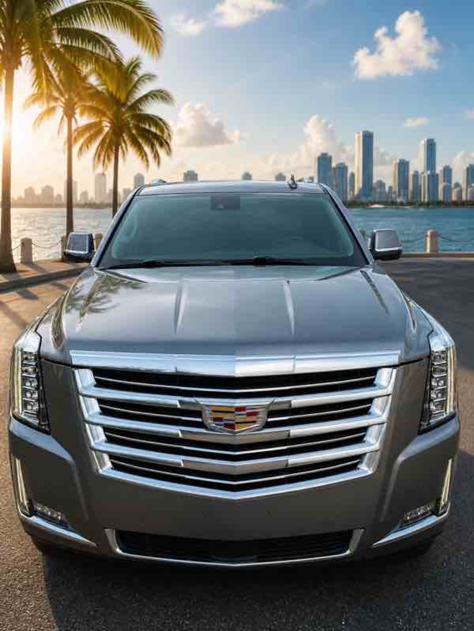 2020 Cadillac Escalade Luxury - Silver