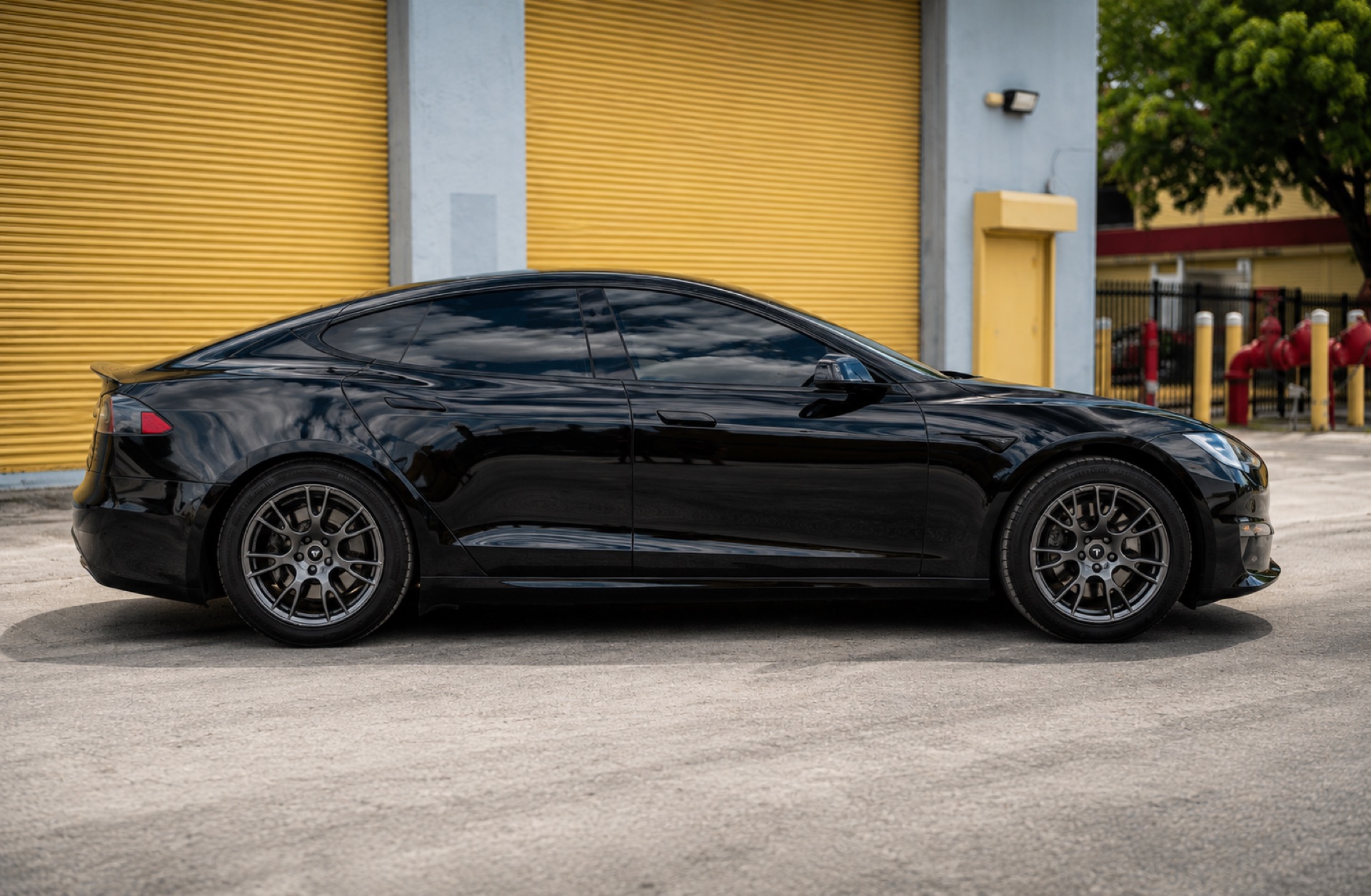 Rear